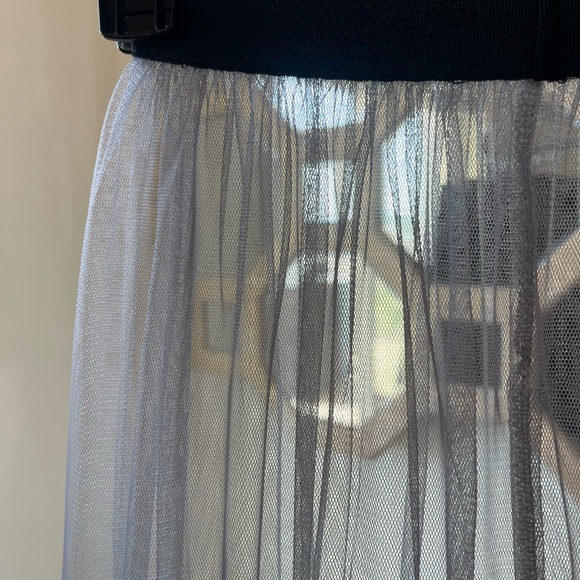 Elegant Sheer Gray Skirt - Picture 4 of 9